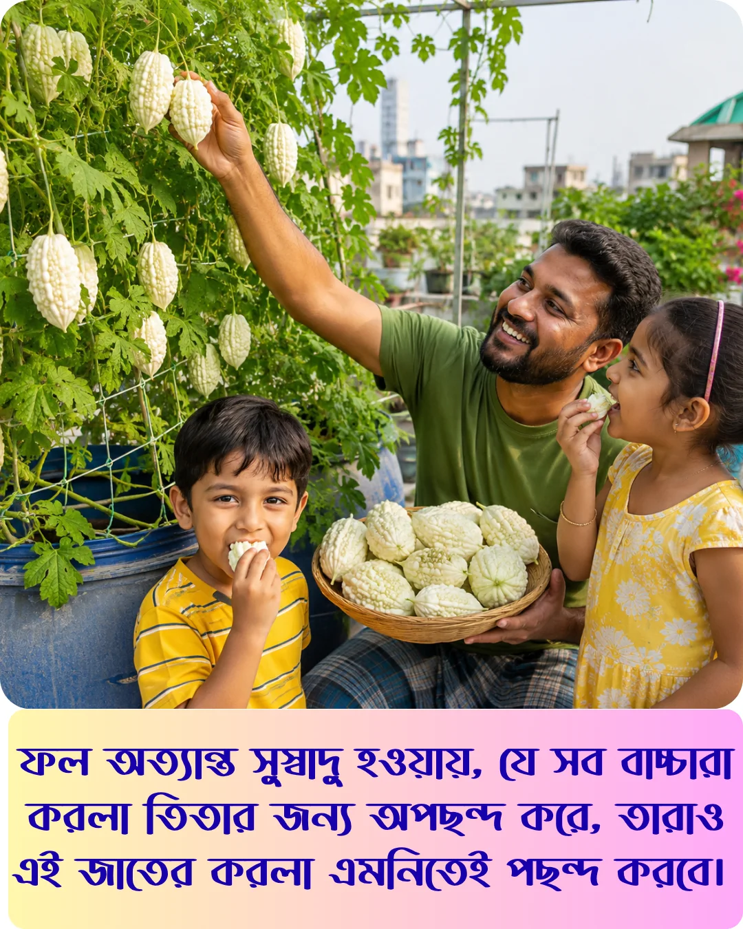মিষ্টি স্বাদের সাদা আপেল করলার বীজের ইন্টেক প্যাকেট - Image 6