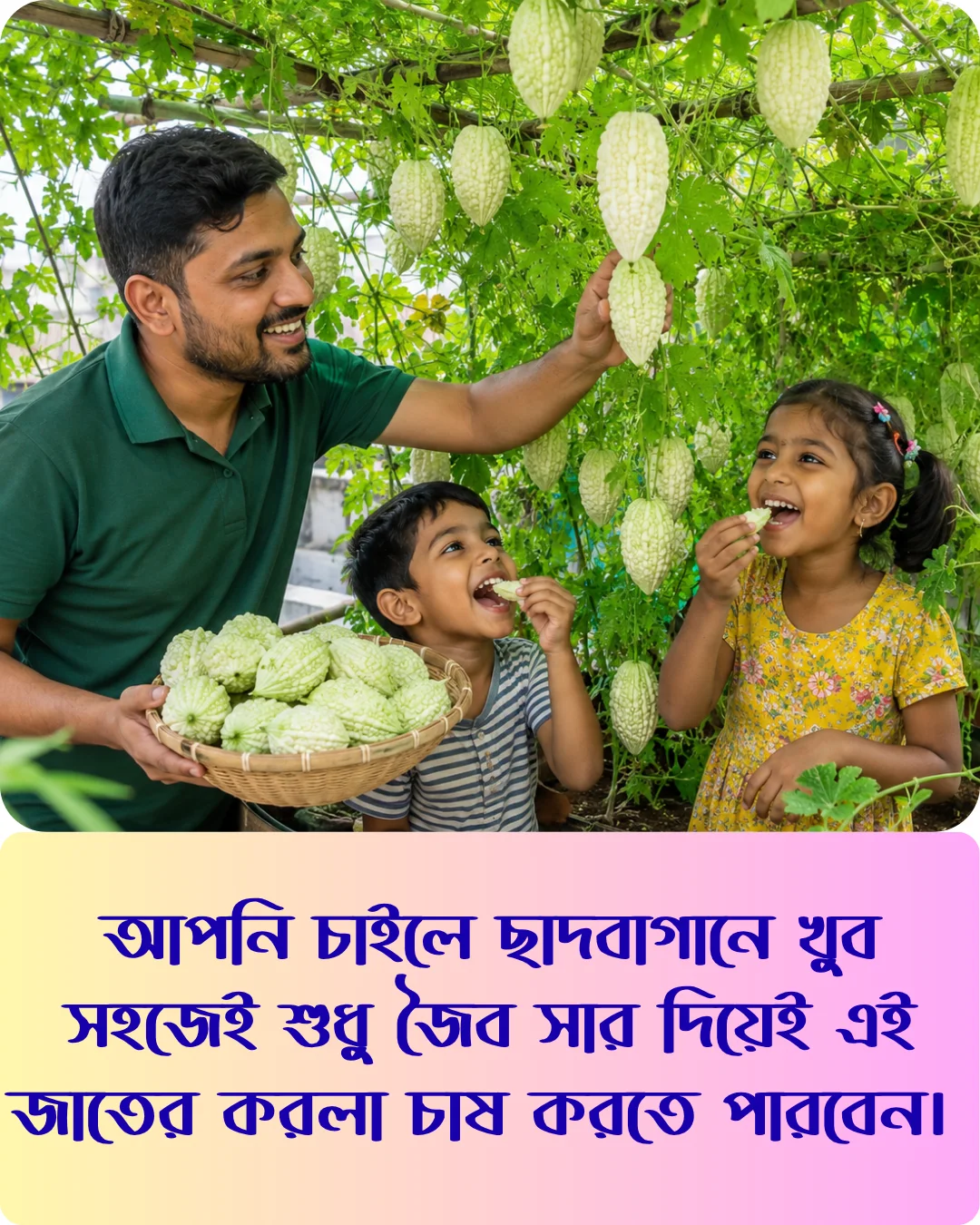 মিষ্টি স্বাদের সাদা আপেল করলার বীজের ইন্টেক প্যাকেট - Image 7