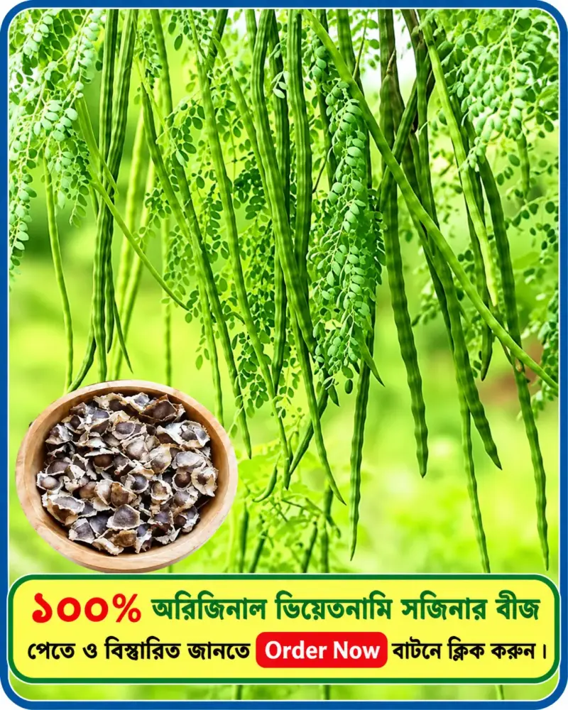 ১০০% অরিজিনাল ভিয়েতনামি সজিনার বীজের ইন্টেক প্যাকেট